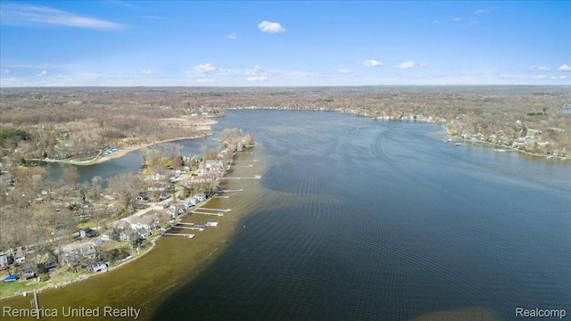 9623 Winston Rd, Pinckney, MI 48169 - photo 16