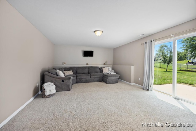 315 Minstehr Dr, Middleville, MI 49333 - photo 14