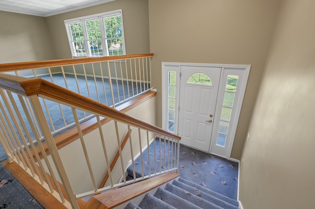 6238 Enola Ave, Kalamazoo, MI 49048 - photo 2