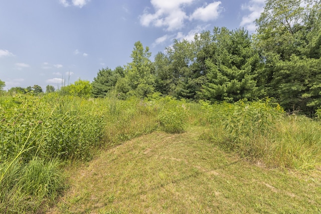 9580 W L Ave, Kalamazoo, MI 49009 - photo 31