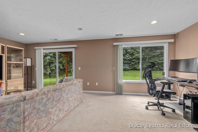 1170 La Paloma Dr SW, Wyoming, MI 49509 - photo 15