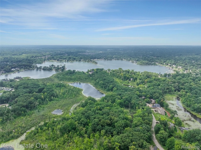530 W Oakley Park Rd, Commerce Twp, MI 48390 - photo 42