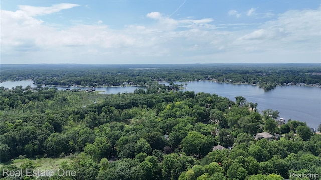 530 W Oakley Park Rd, Commerce Twp, MI 48390 - photo 43