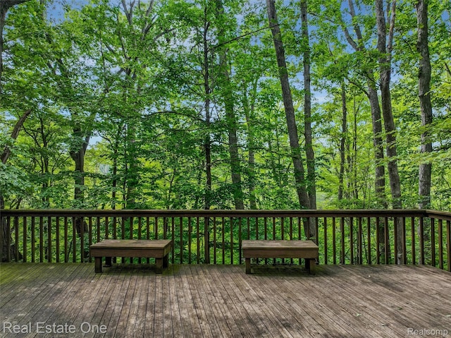 530 W Oakley Park Rd, Commerce Twp, MI 48390 - photo 41