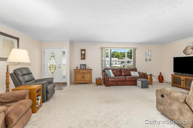 1133 Yeomans St Unit 243, Ionia, MI 48846 - photo 4