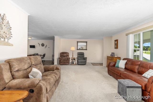 1133 Yeomans St Unit 243, Ionia, MI 48846 - photo 5