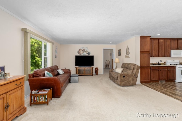 1133 Yeomans St Unit 243, Ionia, MI 48846 - photo 6