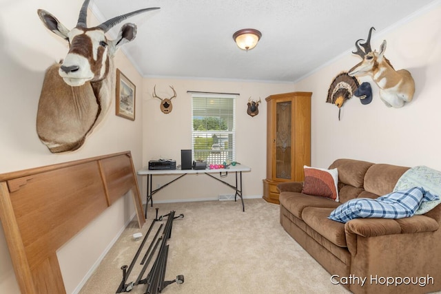 1133 Yeomans St Unit 243, Ionia, MI 48846 - photo 13