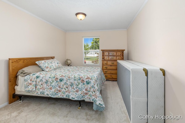1133 Yeomans St Unit 243, Ionia, MI 48846 - photo 14