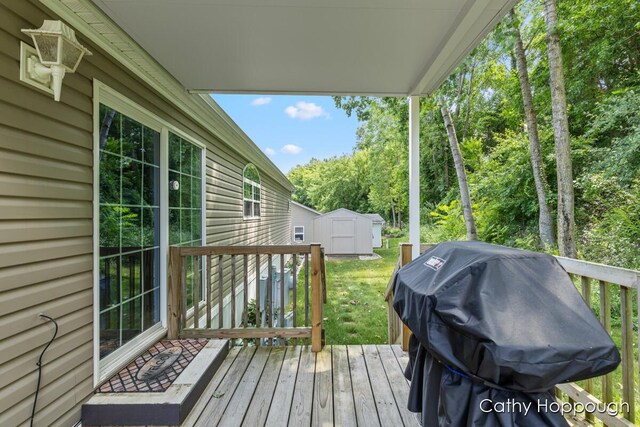 1133 Yeomans St Unit 243, Ionia, MI 48846 - photo 17