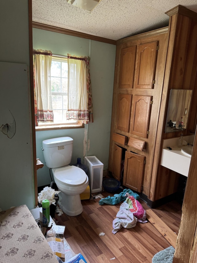 6828 Shuman Rd, Sunfield, MI 48890 - photo 13