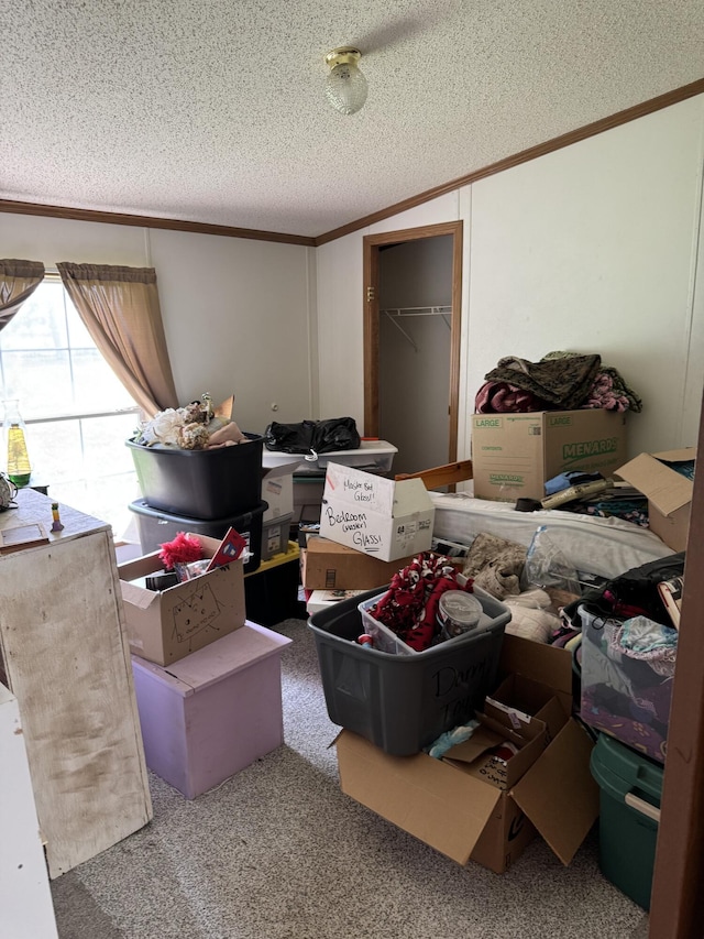 6828 Shuman Rd, Sunfield, MI 48890 - photo 19