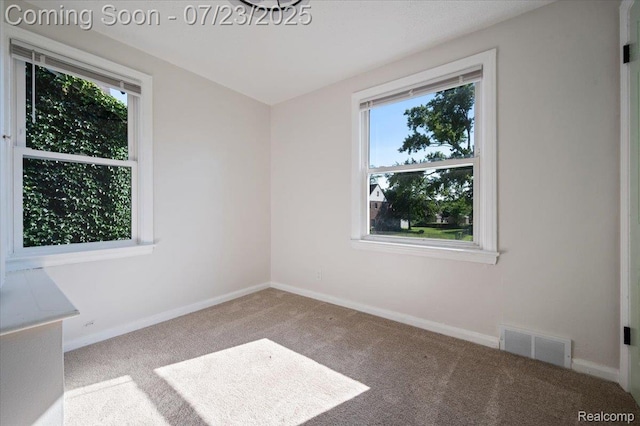 3666 Somerset Ave, Detroit, MI 48224 - photo 21