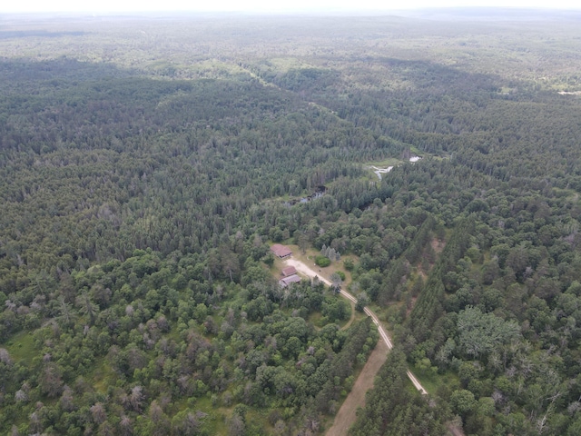 3320 Mapes Rd, Mio, MI 48647 - photo 72