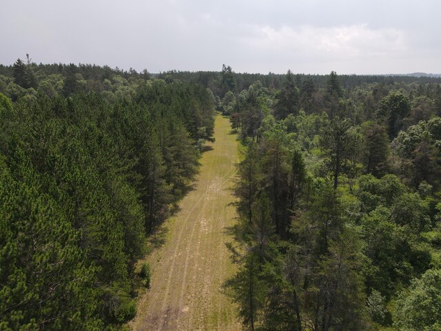 3320 Mapes Rd, Mio, MI 48647 - photo 76