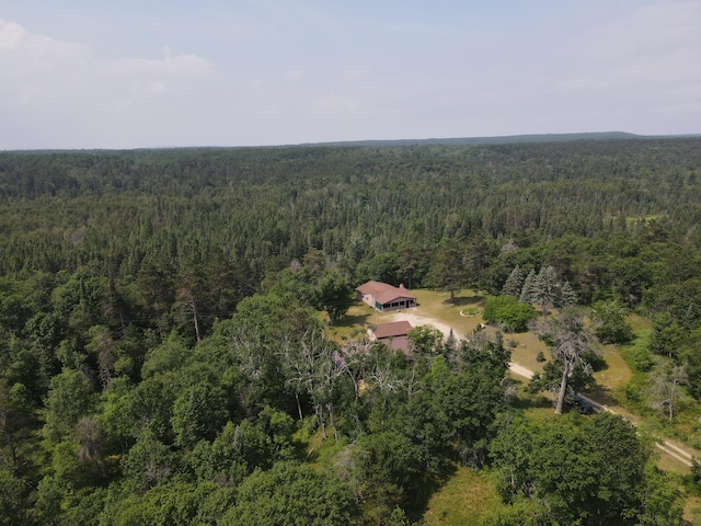 3320 Mapes Rd, Mio, MI 48647 - photo 58