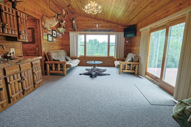 3320 Mapes Rd, Mio, MI 48647 - photo 11