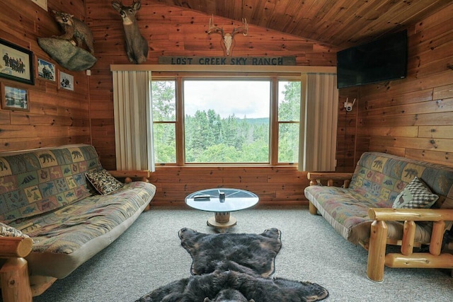 3320 Mapes Rd, Mio, MI 48647 - photo 13