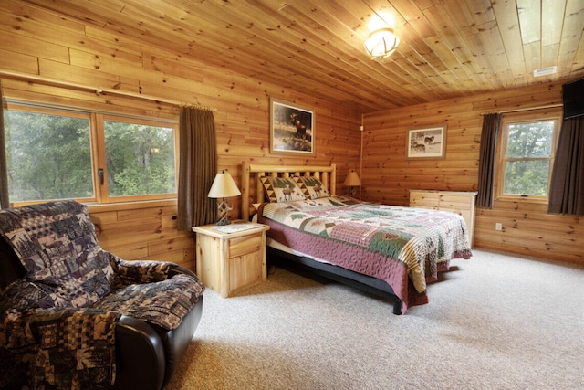 3320 Mapes Rd, Mio, MI 48647 - photo 21