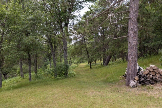 3320 Mapes Rd, Mio, MI 48647 - photo 38