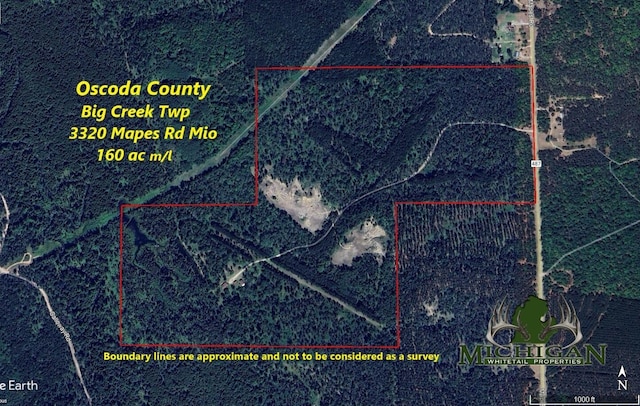 3320 Mapes Rd, Mio, MI 48647 - photo 3