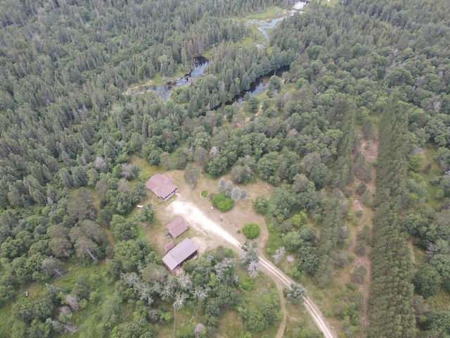 3320 Mapes Rd, Mio, MI 48647 - photo 59