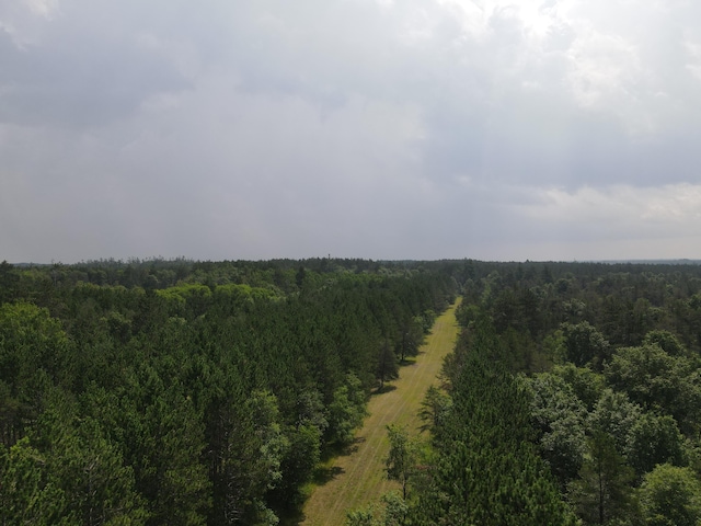 3320 Mapes Rd, Mio, MI 48647 - photo 74