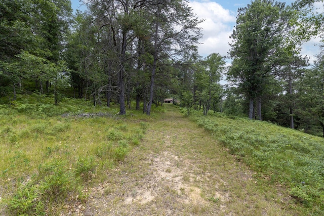 3320 Mapes Rd, Mio, MI 48647 - photo 40