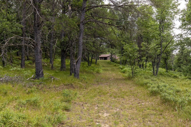 3320 Mapes Rd, Mio, MI 48647 - photo 41