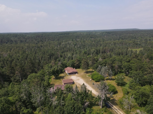 3320 Mapes Rd, Mio, MI 48647 - photo 60