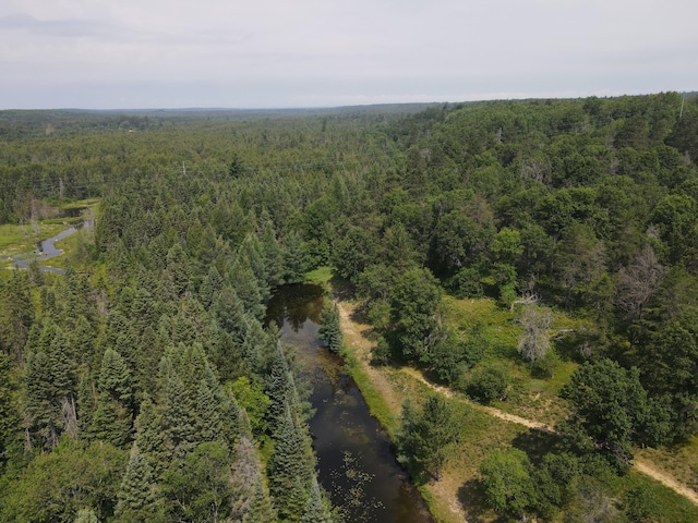 3320 Mapes Rd, Mio, MI 48647 - photo 78