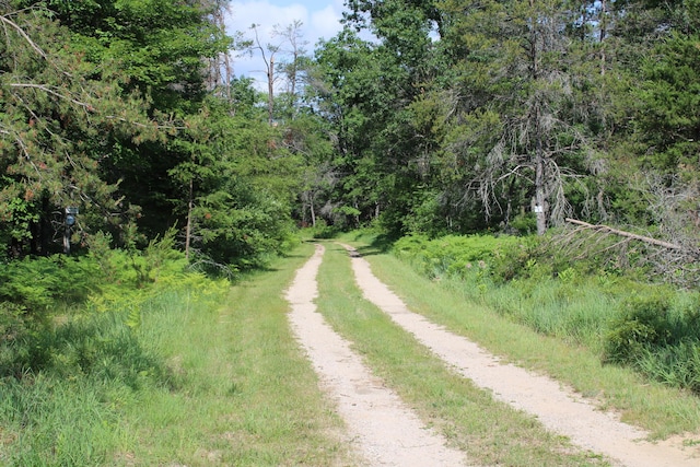 3320 Mapes Rd, Mio, MI 48647 - photo 82