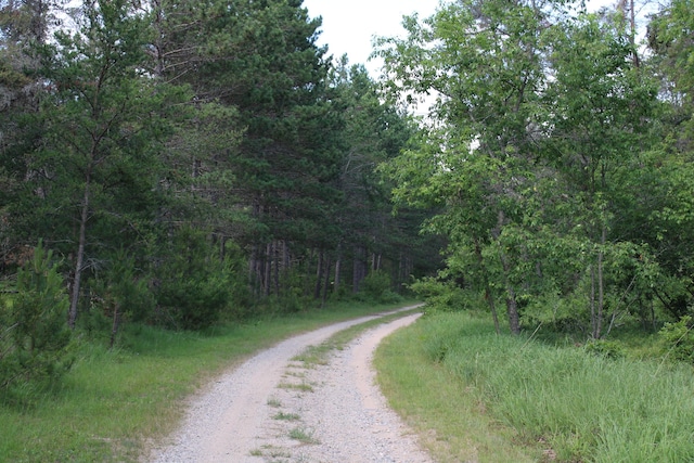 3320 Mapes Rd, Mio, MI 48647 - photo 83