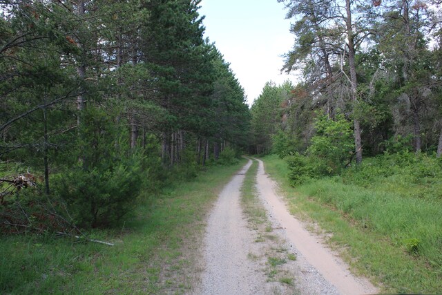 3320 Mapes Rd, Mio, MI 48647 - photo 84