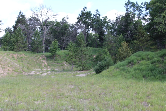 3320 Mapes Rd, Mio, MI 48647 - photo 87