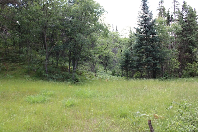 3320 Mapes Rd, Mio, MI 48647 - photo 89
