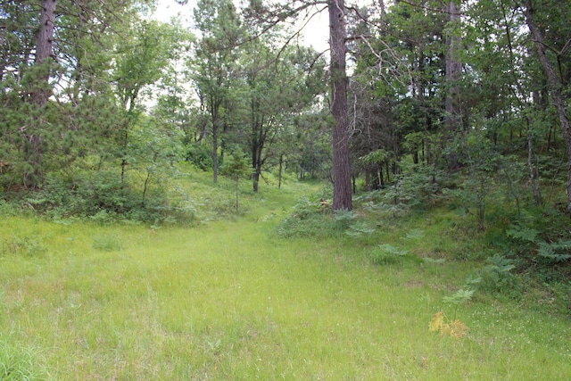 3320 Mapes Rd, Mio, MI 48647 - photo 90