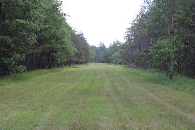 3320 Mapes Rd, Mio, MI 48647 - photo 91