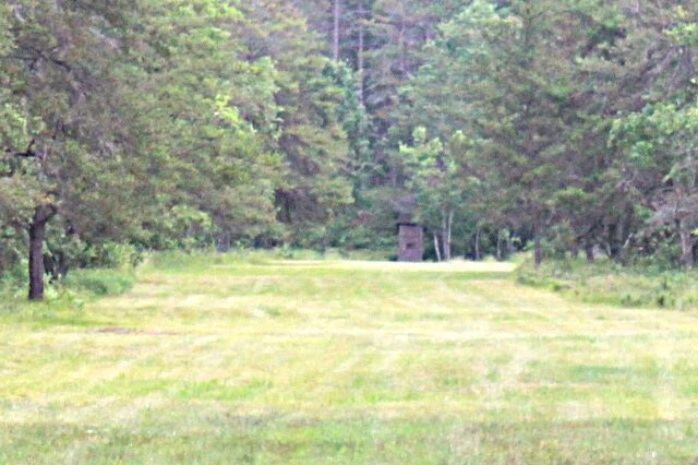 3320 Mapes Rd, Mio, MI 48647 - photo 92