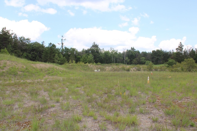 3320 Mapes Rd, Mio, MI 48647 - photo 94