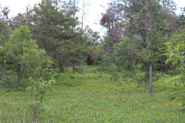 3320 Mapes Rd, Mio, MI 48647 - photo 95