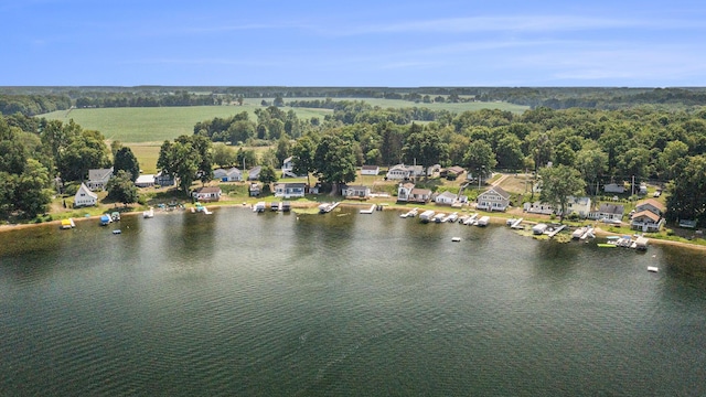 43834 Eagle Lake Dr, Paw Paw, MI 49079 - photo 13