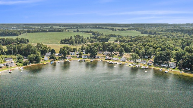 43834 Eagle Lake Dr, Paw Paw, MI 49079 - photo 19