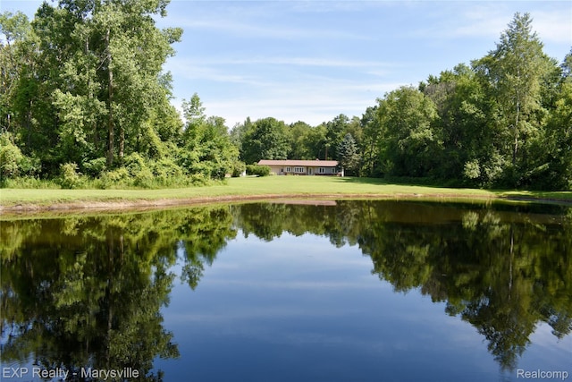 12980 Metcalf Rd, Brockway, MI 48097 - photo 6