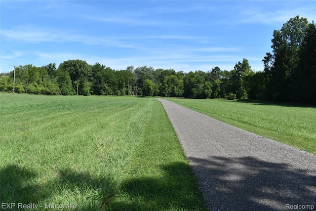 12980 Metcalf Rd, Brockway, MI 48097 - photo 2