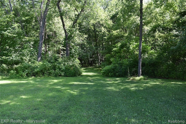 12980 Metcalf Rd, Brockway, MI 48097 - photo 10