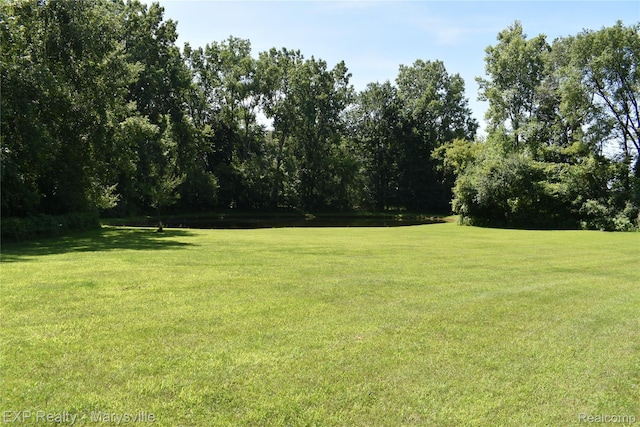 12980 Metcalf Rd, Brockway, MI 48097 - photo 11