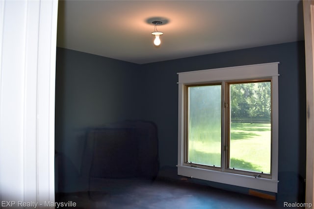 12980 Metcalf Rd, Brockway, MI 48097 - photo 29