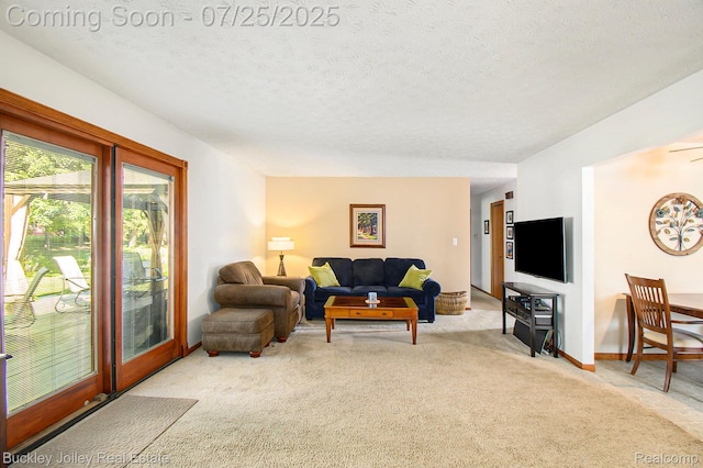 234 Woodlake Dr, Brighton, MI 48116 - photo 18