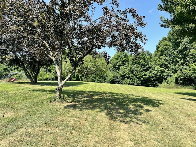 13639 Dutch Settlement Rd, Marcellus, MI 49067 - photo 14